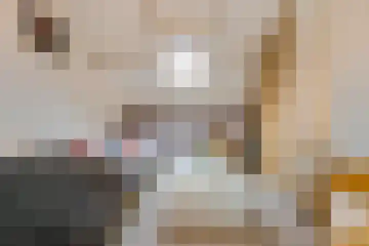 Rogier van der Weydenlaan 41 Bilthoven thumbnail 32