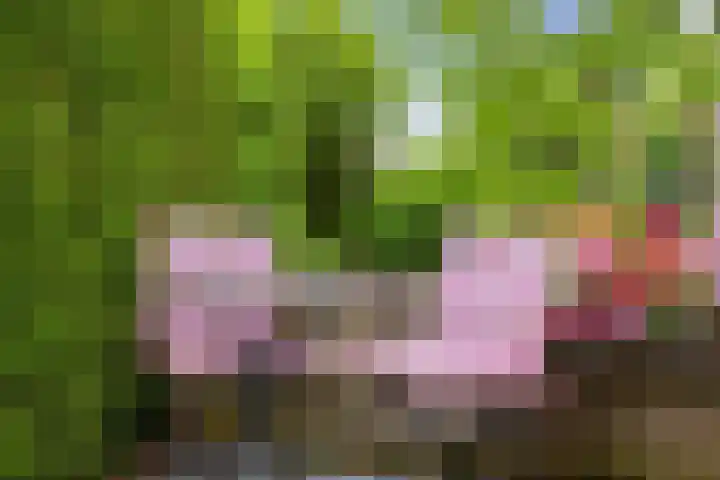 Rogier van der Weydenlaan 41 Bilthoven thumbnail 38