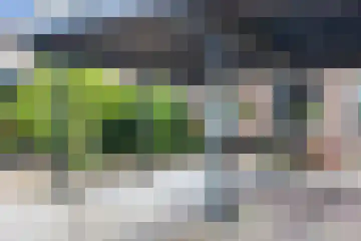 Rogier van der Weydenlaan 41 Bilthoven thumbnail 42