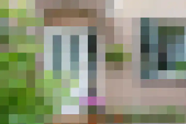 Rogier van der Weydenlaan 41 Bilthoven thumbnail 6