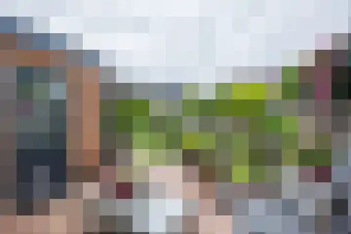 Rogier van der Weydenstr 7 Zelhem thumbnail 14