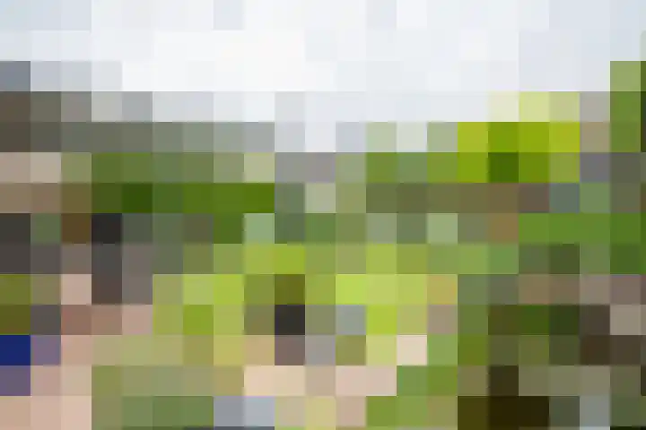 Rogier van der Weydenstr 7 Zelhem thumbnail 15