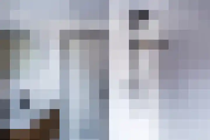 Rogier van der Weydenstr 7 Zelhem thumbnail 33