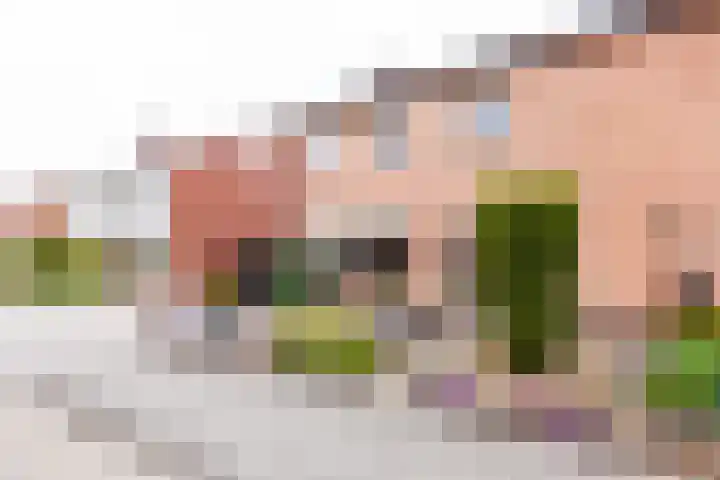 Rogier van der Weydenstr 7 Zelhem thumbnail 37