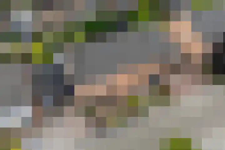 Rogier van der Weydenstr 7 Zelhem thumbnail 40