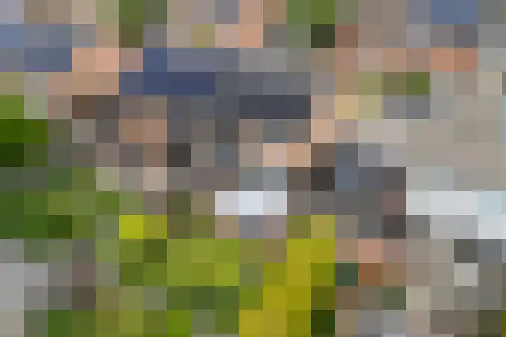 Rogier van der Weydenstr 7 Zelhem thumbnail 41