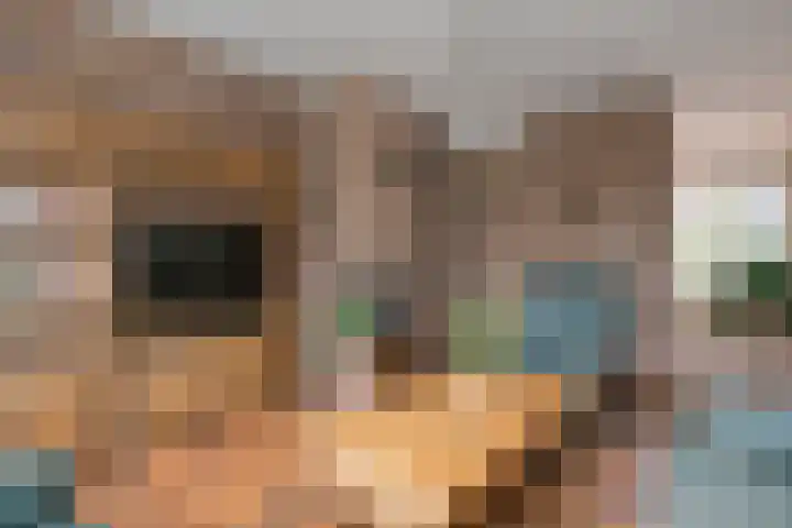 Rogier van der Weydenstr 8 Zelhem thumbnail 11