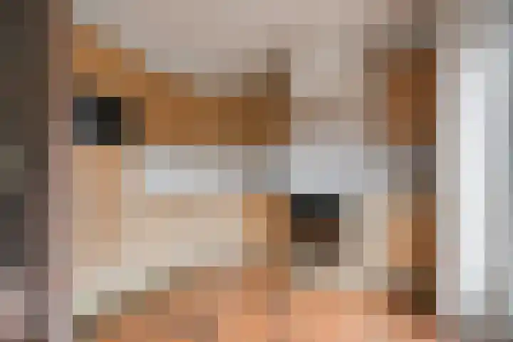 Rogier van der Weydenstr 8 Zelhem thumbnail 13