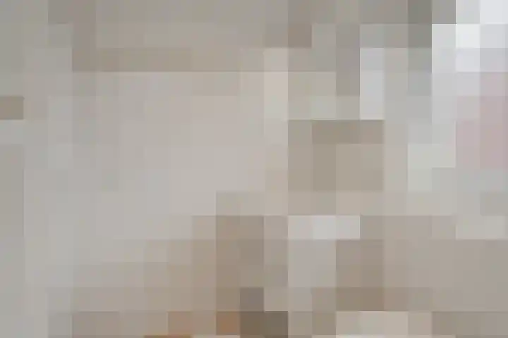 Rogier van der Weydenstr 8 Zelhem thumbnail 25