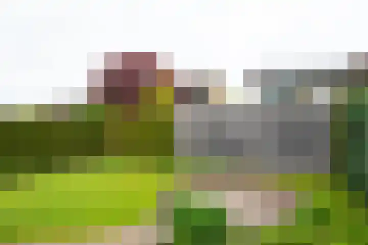 Rogier van der Weydenstr 8 Zelhem thumbnail 43