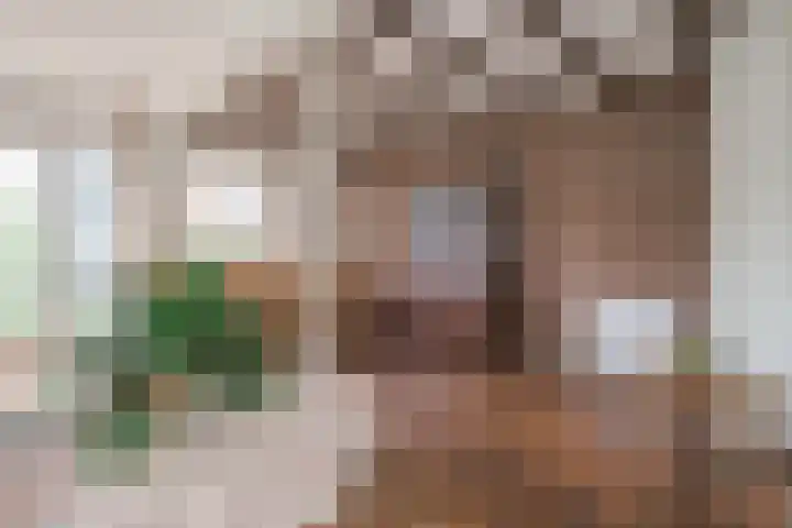 Rogier van der Weydenstr 8 Zelhem thumbnail 7