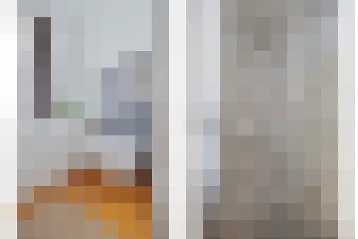 Rogier van der Weydenstraat 23 's-Hertogenbosch thumbnail 19
