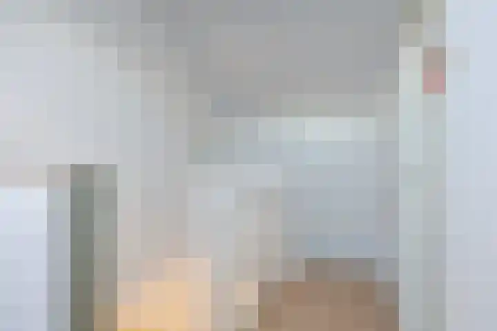 Rogier van der Weydenstraat 23 's-Hertogenbosch thumbnail 24
