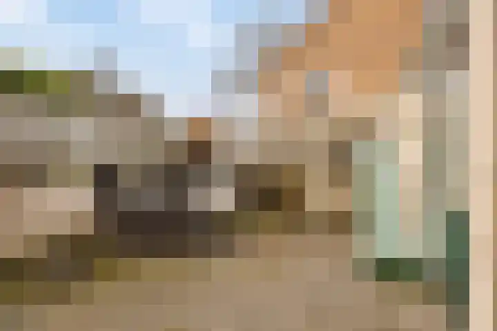 Rogier van der Weydenstraat 23 's-Hertogenbosch thumbnail 31