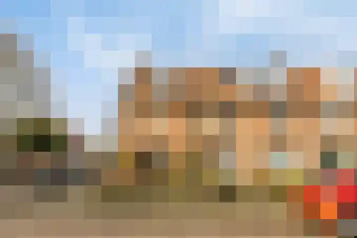 Rogier van der Weydenstraat 23 's-Hertogenbosch thumbnail 34