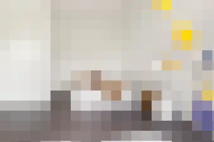 Rogier van der Weydestraat 1 A 56 Alkmaar thumbnail 11