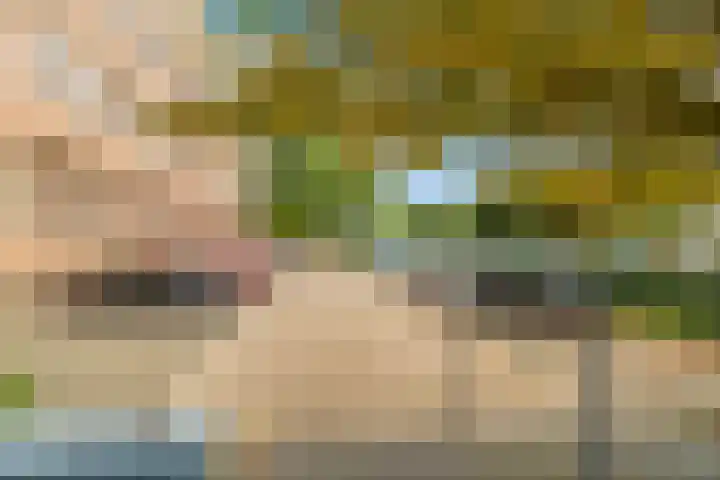 Rogier van der Weydestraat 1 A 56 Alkmaar thumbnail 21