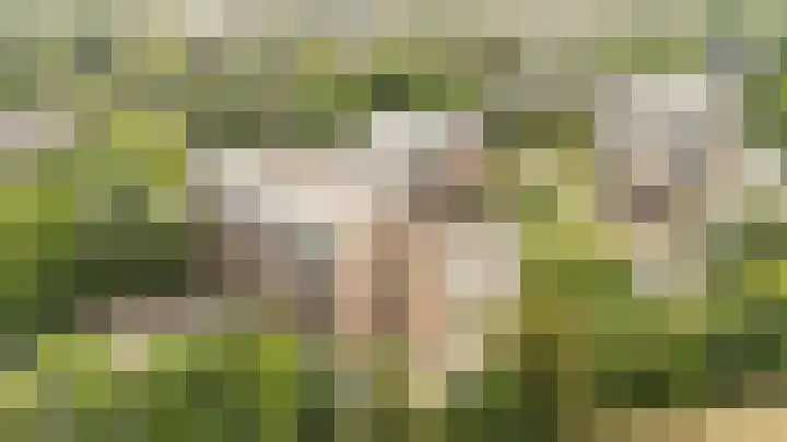 Rogier van der Weydestraat 1 A 56 Alkmaar thumbnail 23