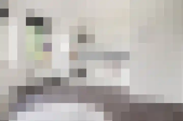 Rogier van der Weydestraat 1 A 56 Alkmaar thumbnail 6