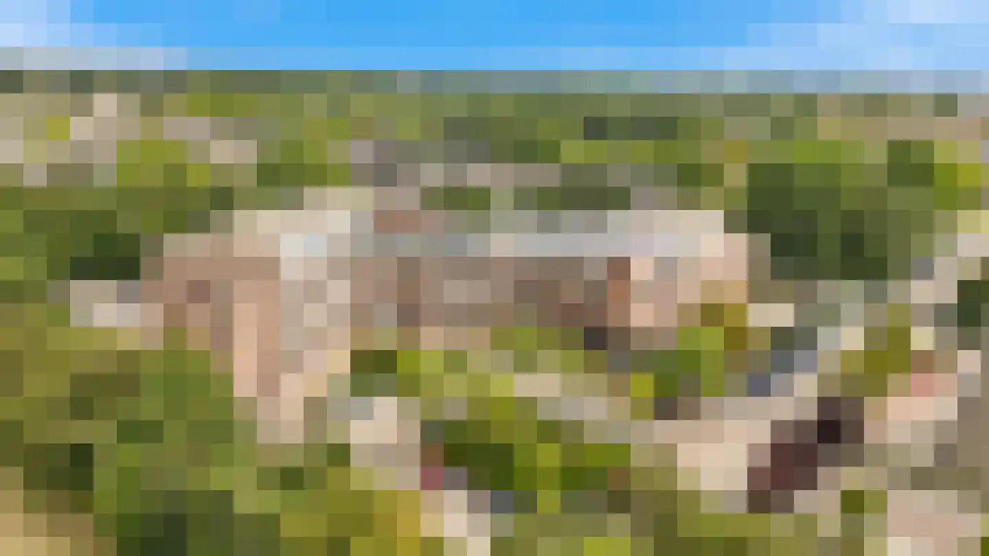Rogier van der Weydestraat 1 B 15 Alkmaar thumbnail 4