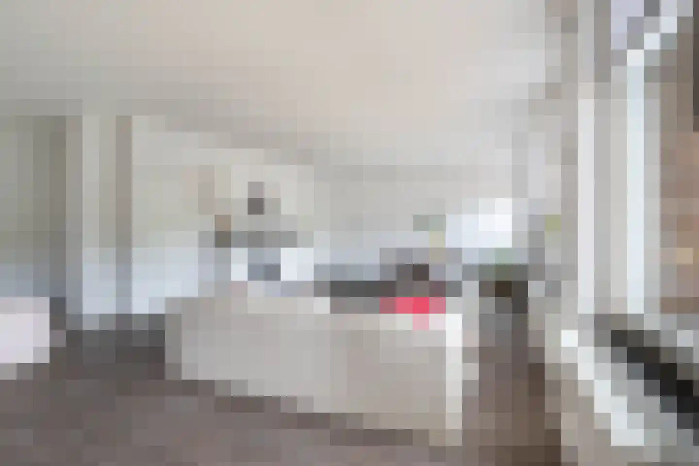 Rogier van der Weydestraat 1 B 15 Alkmaar thumbnail 7