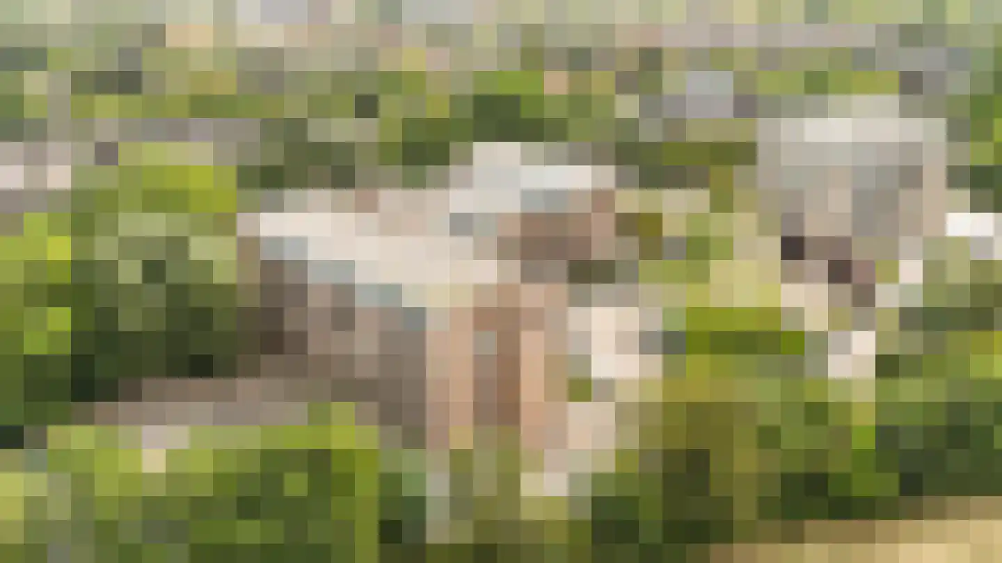 Rogier van der Weydestraat 1 B 52 Alkmaar thumbnail 18