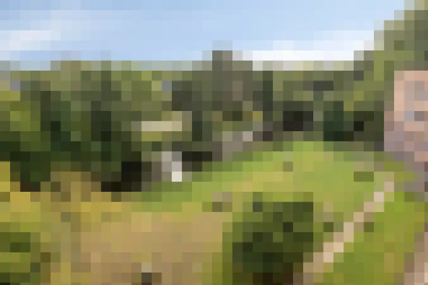 Rogier van der Weydestraat 1 B 63 Alkmaar thumbnail 22