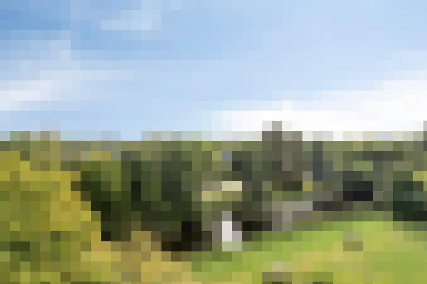 Rogier van der Weydestraat 1 B 63 Alkmaar thumbnail 23