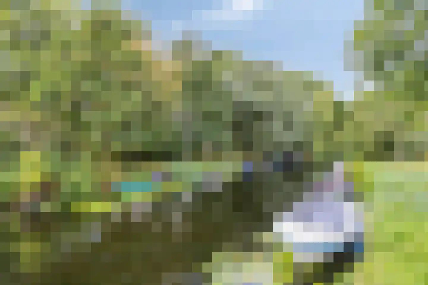 Rogier van der Weydestraat 1 B 63 Alkmaar thumbnail 27
