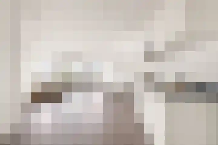 Rogier van der Weydestraat 1 B 69 Alkmaar thumbnail 10