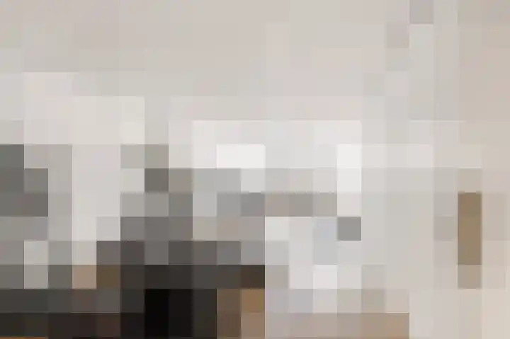 Rogier van der Weydestraat 1 B 69 Alkmaar thumbnail 24