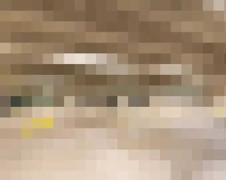 Rogier van der Weydestraat 1 B 69 Alkmaar thumbnail 30