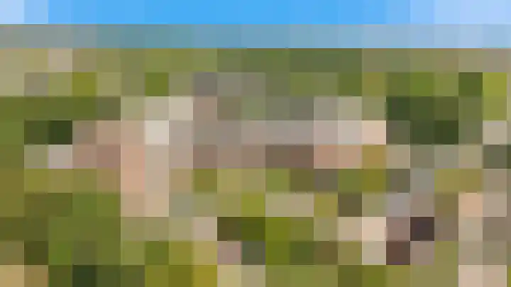 Rogier van der Weydestraat 1 B 69 Alkmaar thumbnail 4