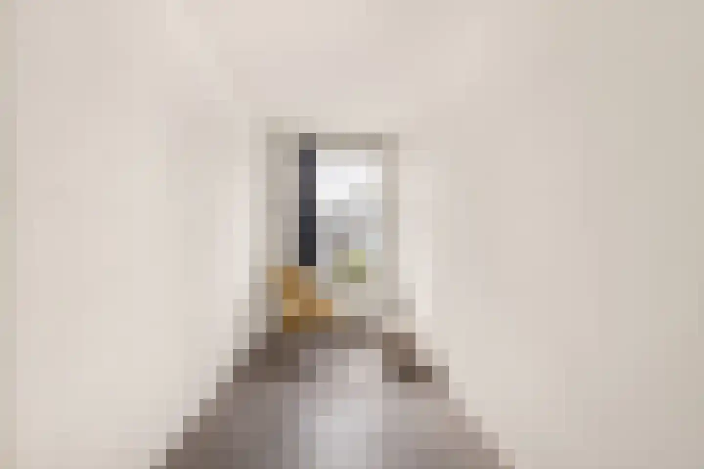 Rogier van der Weydestraat 1 B 70 Alkmaar thumbnail 17
