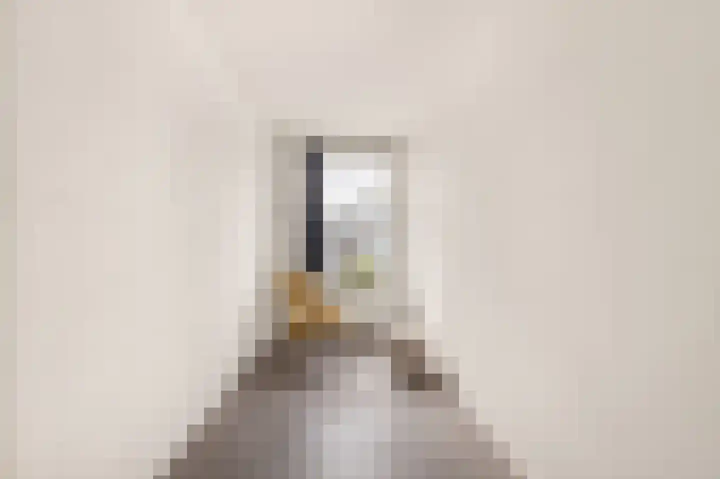Rogier van der Weydestraat 1 B 70 Alkmaar thumbnail 17