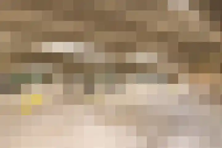 Rogier van der Weydestraat 1 B 9 Alkmaar thumbnail 14