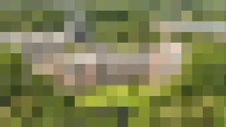 Rogier van der Weydestraat 1 B 9 Alkmaar thumbnail 15