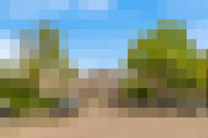 Rogier van der Weydestraat 1 B 9 Alkmaar thumbnail 4