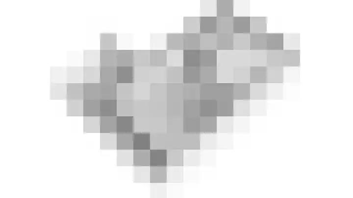 Rogier van Leefdaelstraat 1 A Hilvarenbeek thumbnail 4