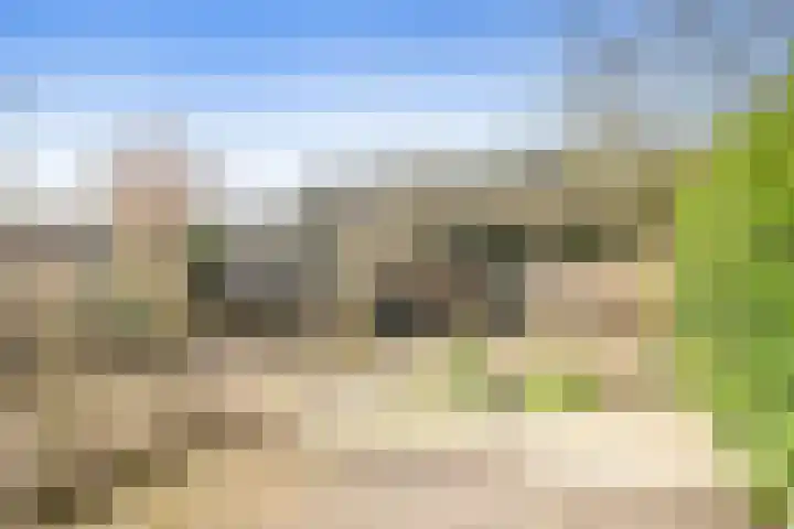 Rogier van Otterloolaan 49 Maarssen thumbnail 38