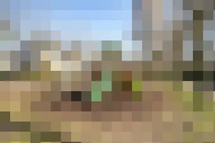 Rogier van Otterloolaan 49 Maarssen thumbnail 40
