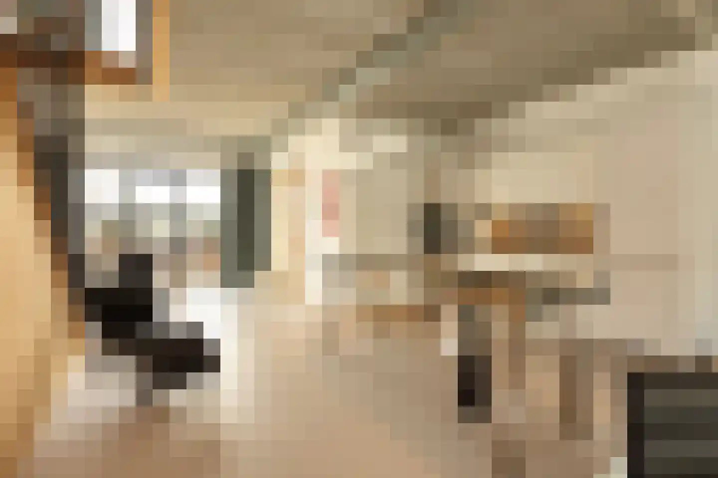 Rogier van Otterloostraat 19 Hilversum thumbnail 13