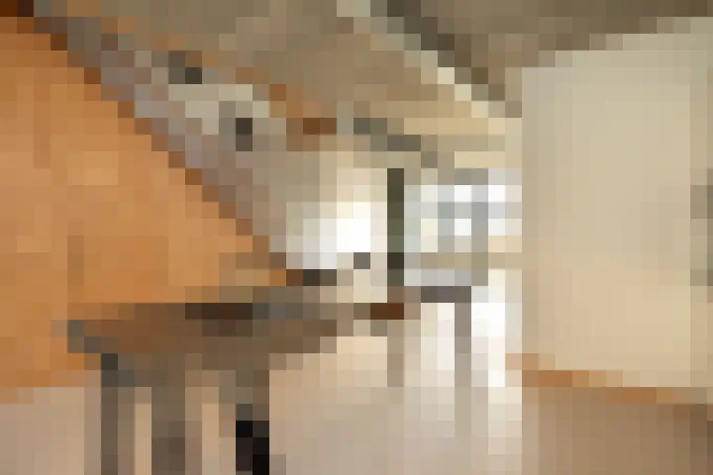 Rogier van Otterloostraat 19 Hilversum thumbnail 15