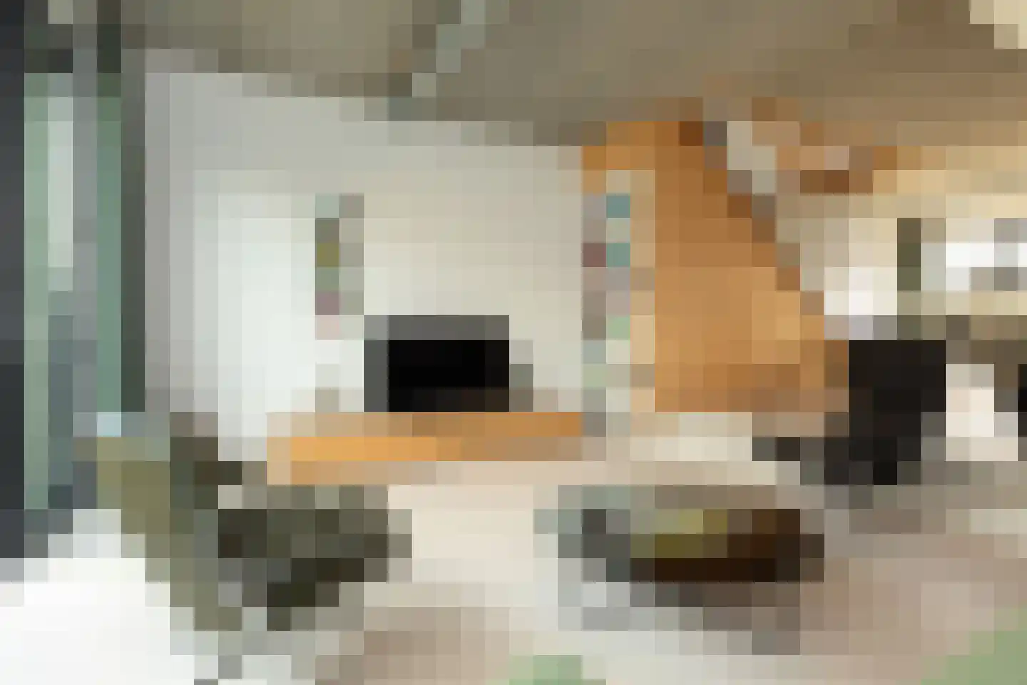 Rogier van Otterloostraat 19 Hilversum thumbnail 8