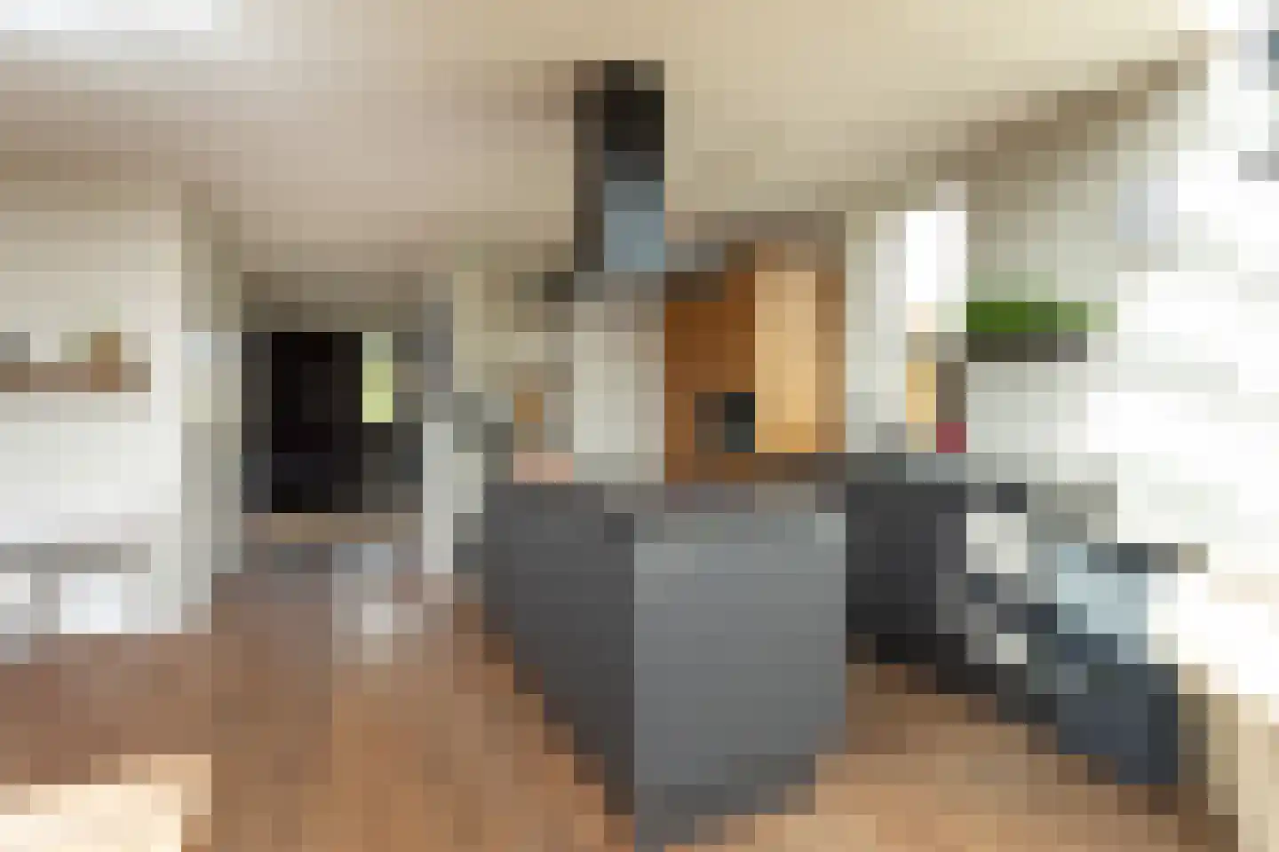 Rogier van Otterloostraat 2 Hilversum thumbnail 14