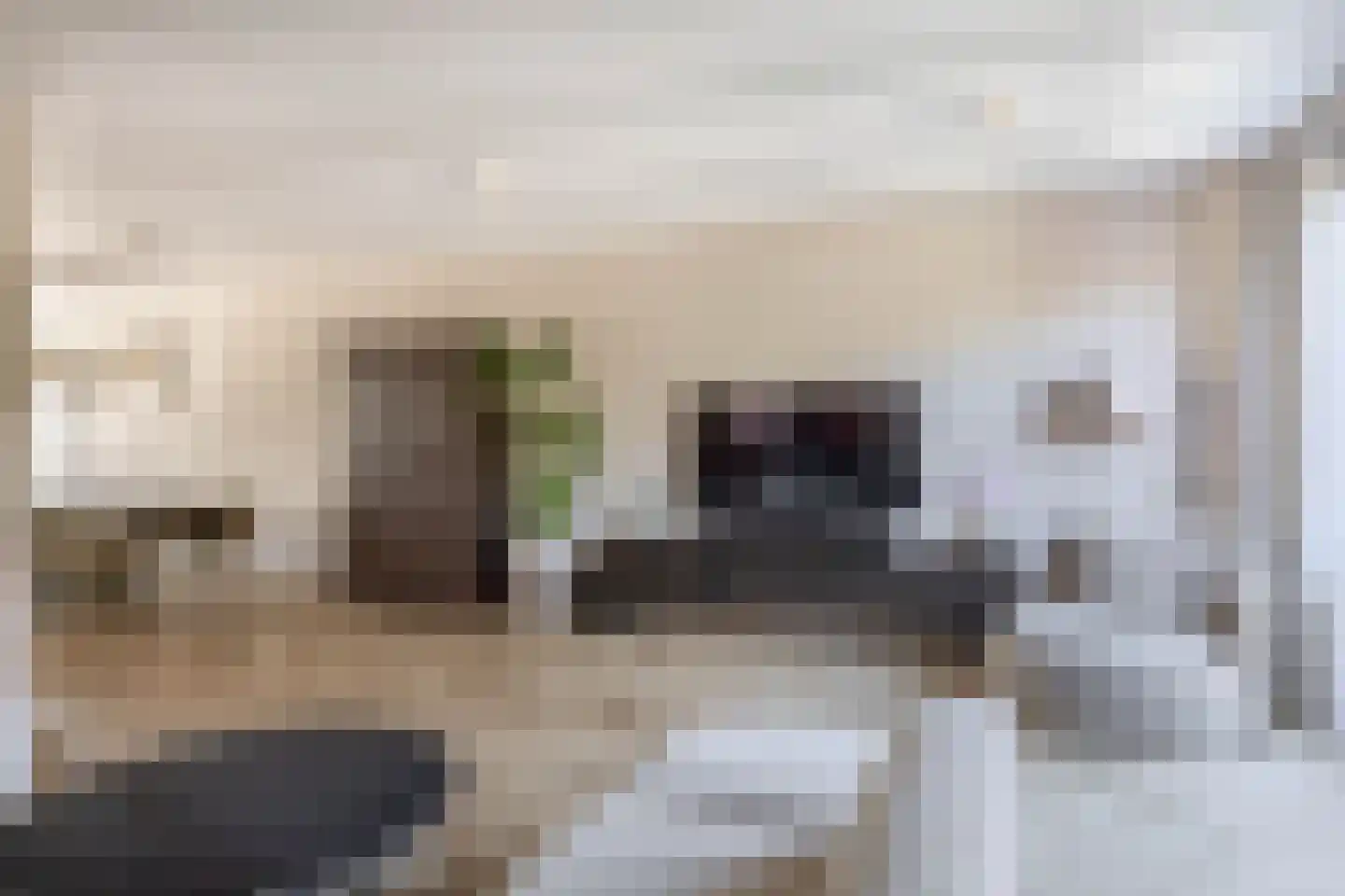 Rogier van Otterloostraat 5 Berkel en Rodenrijs thumbnail 10