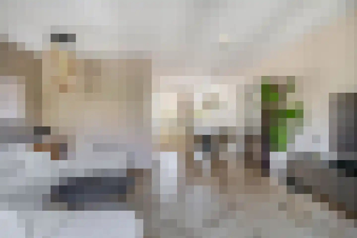 Rogier van Otterloostraat 5 Berkel en Rodenrijs thumbnail 12