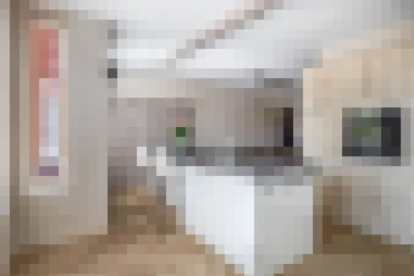 Rogier van Otterloostraat 5 Berkel en Rodenrijs thumbnail 18