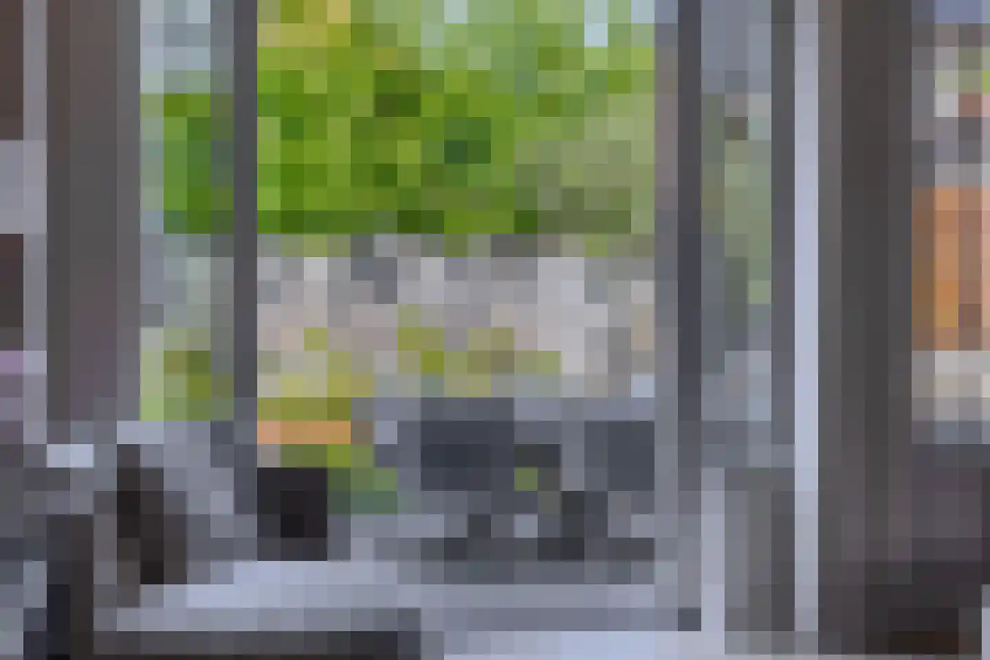 Rogier van Otterloostraat 5 Berkel en Rodenrijs thumbnail 23