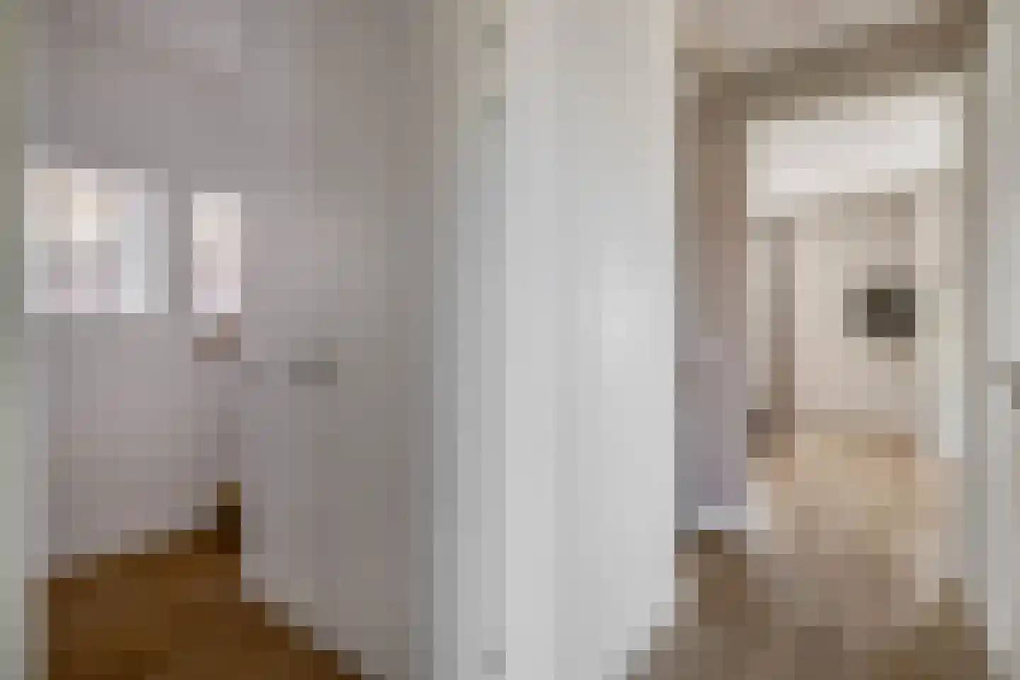Rogier van Otterloostraat 5 Berkel en Rodenrijs thumbnail 34